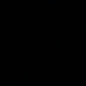 Meet your Posher, Bryce